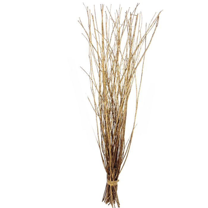 Willow Branches in Gold